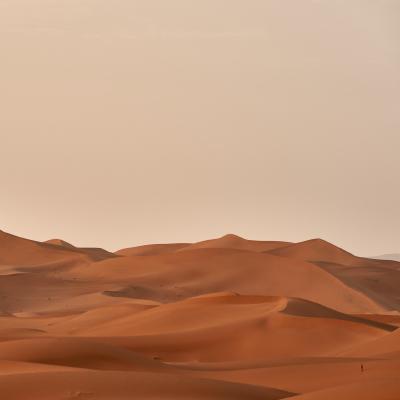 Desert Encounters