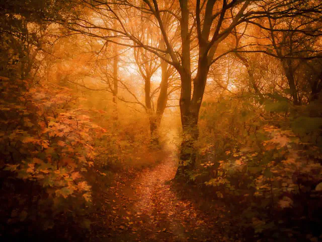 Feywild terrain and atmosphere for the following encounters