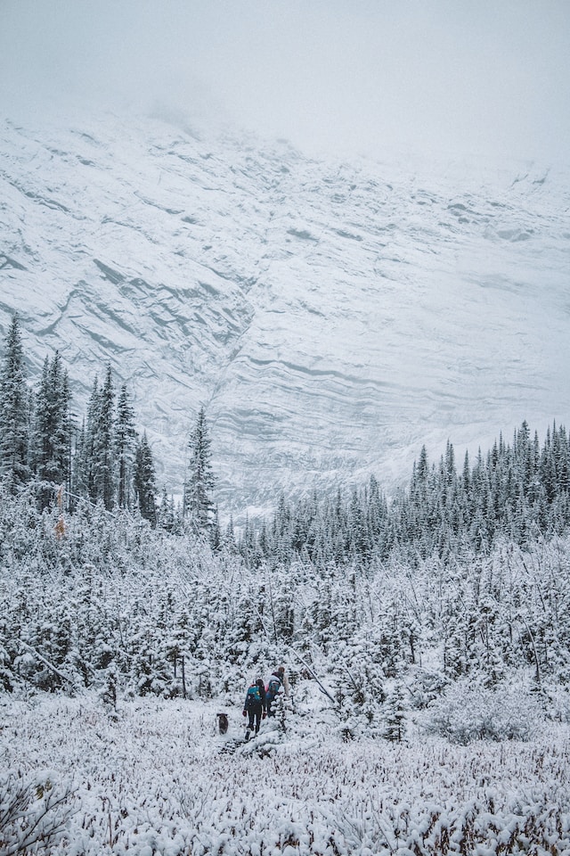 Northern Wilderness Encounters D&D 5e