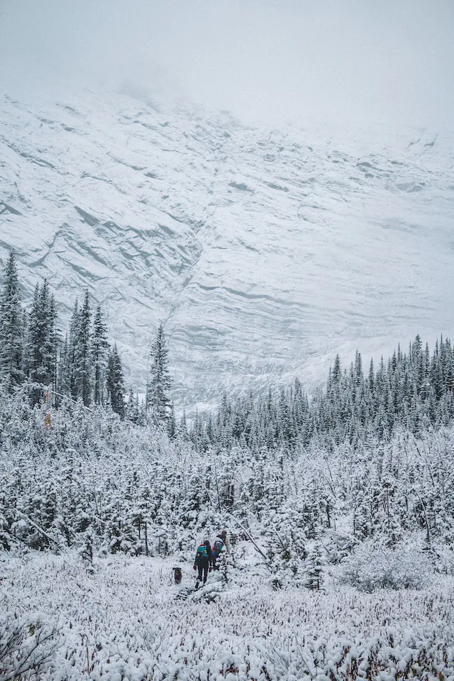 Northern Wilderness terrain and atmosphere for the following encounters