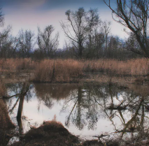 Swamp terrain and atmosphere for the following encounters